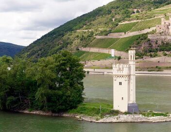 Splendeurs sauvages du Rhin moyen