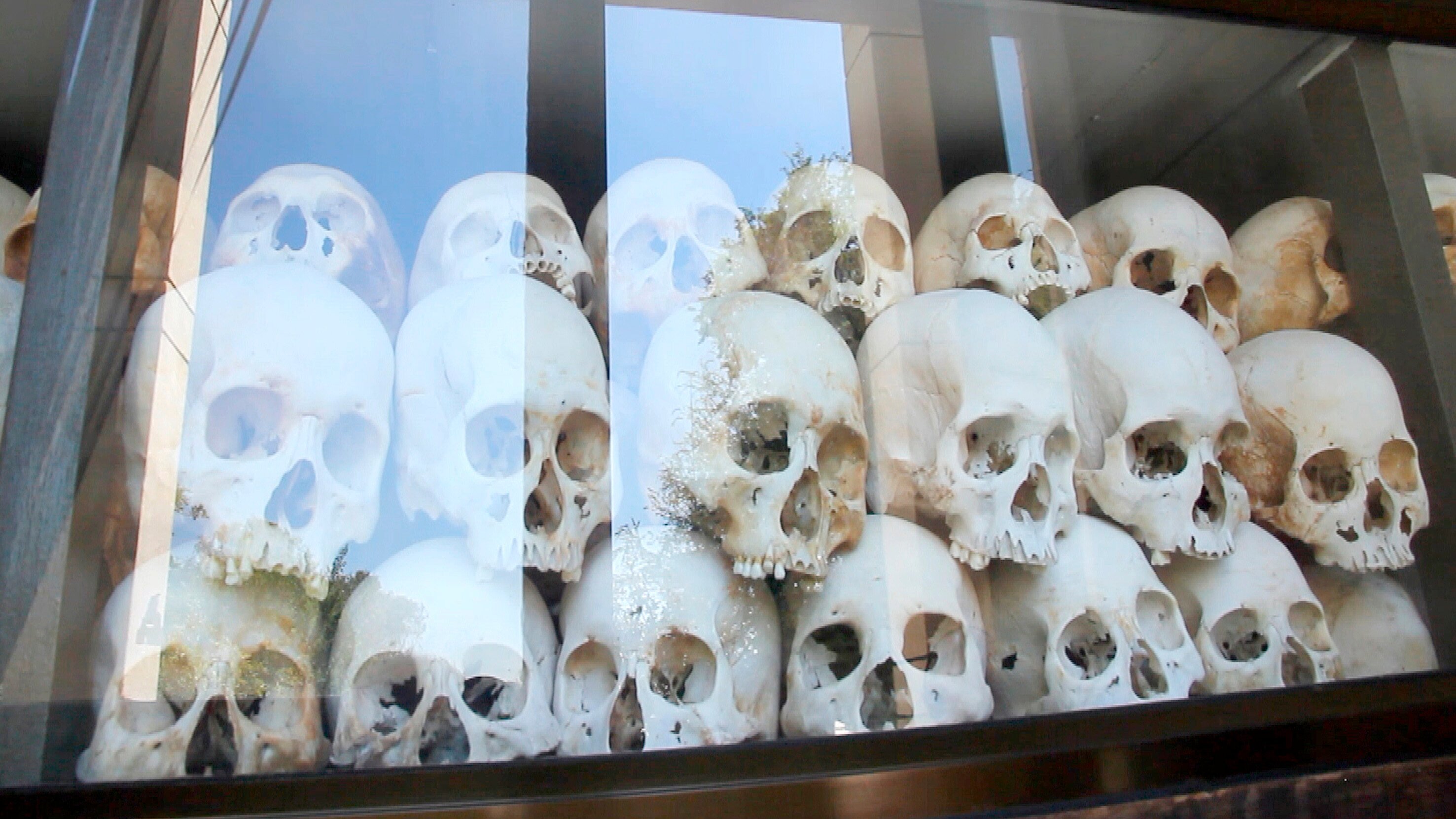 Genossen. Brüder. Killing Fields.