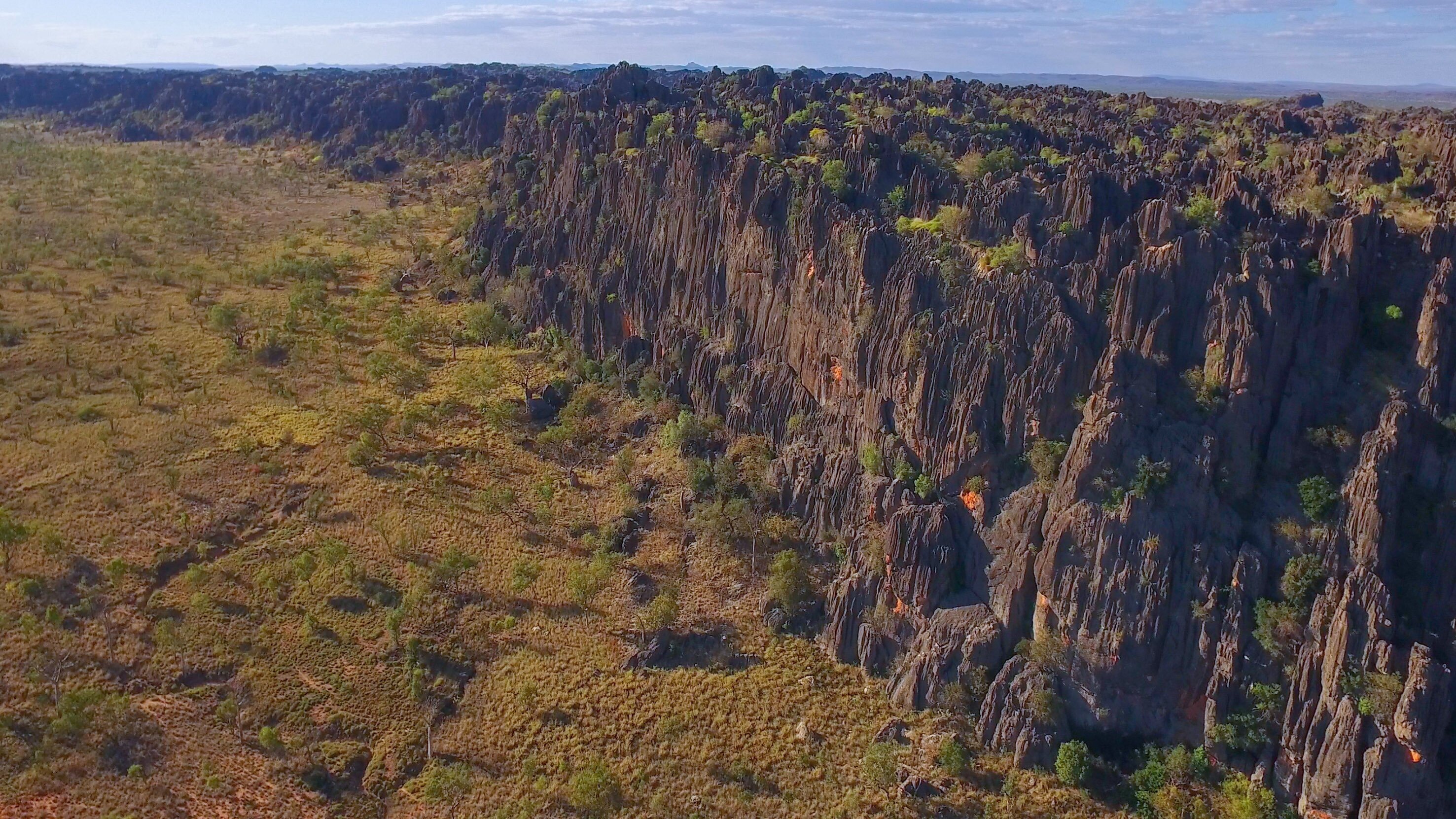 Durch das Jahr in der weltweiten Wildnis