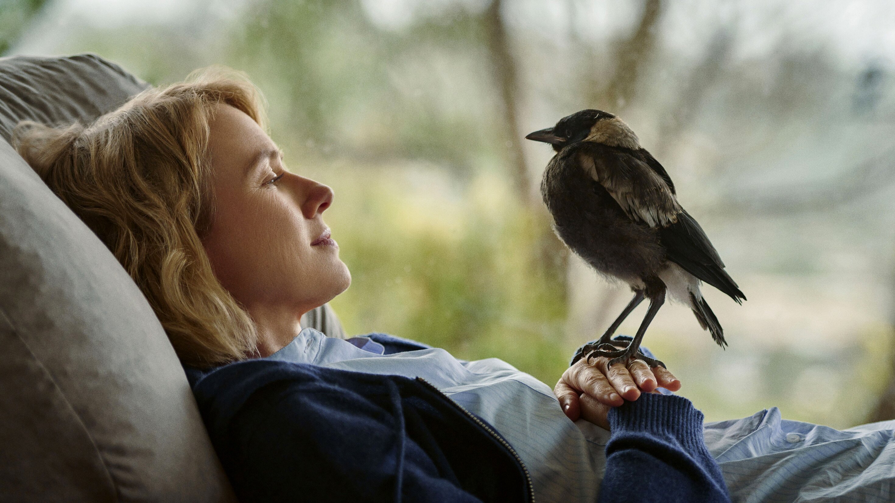 Beflügelt – Ein Vogel namens Penguin Bloom