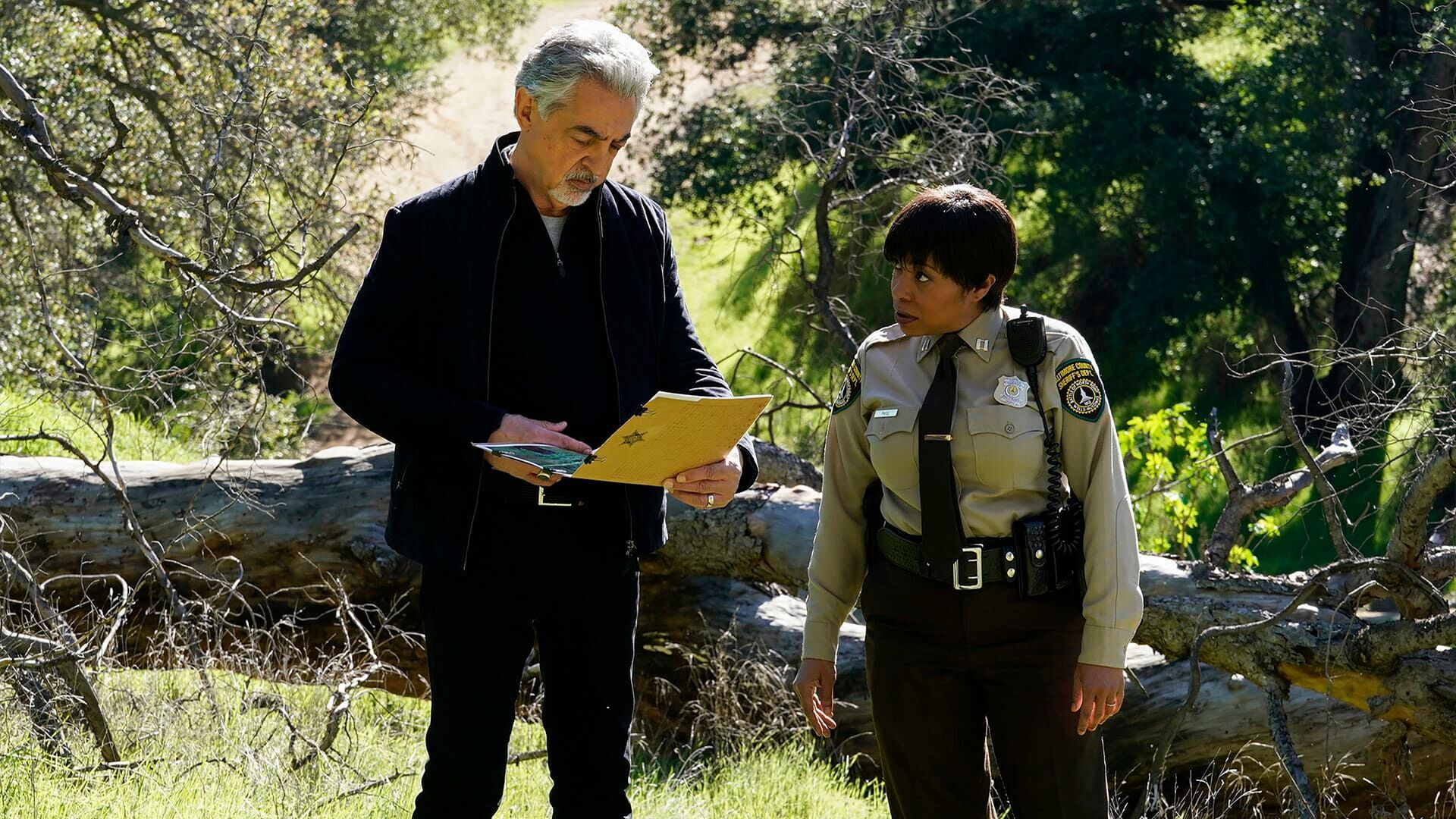 Criminal Minds