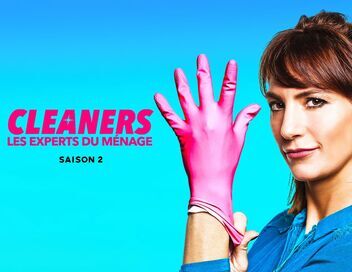 Cleaners les experts du ménage