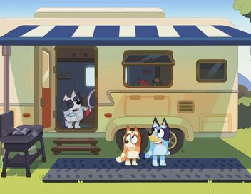 Bluey