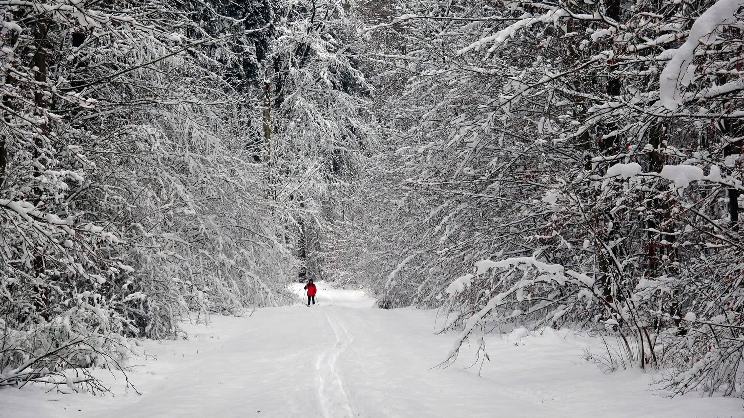 Zauberhaftes Franken