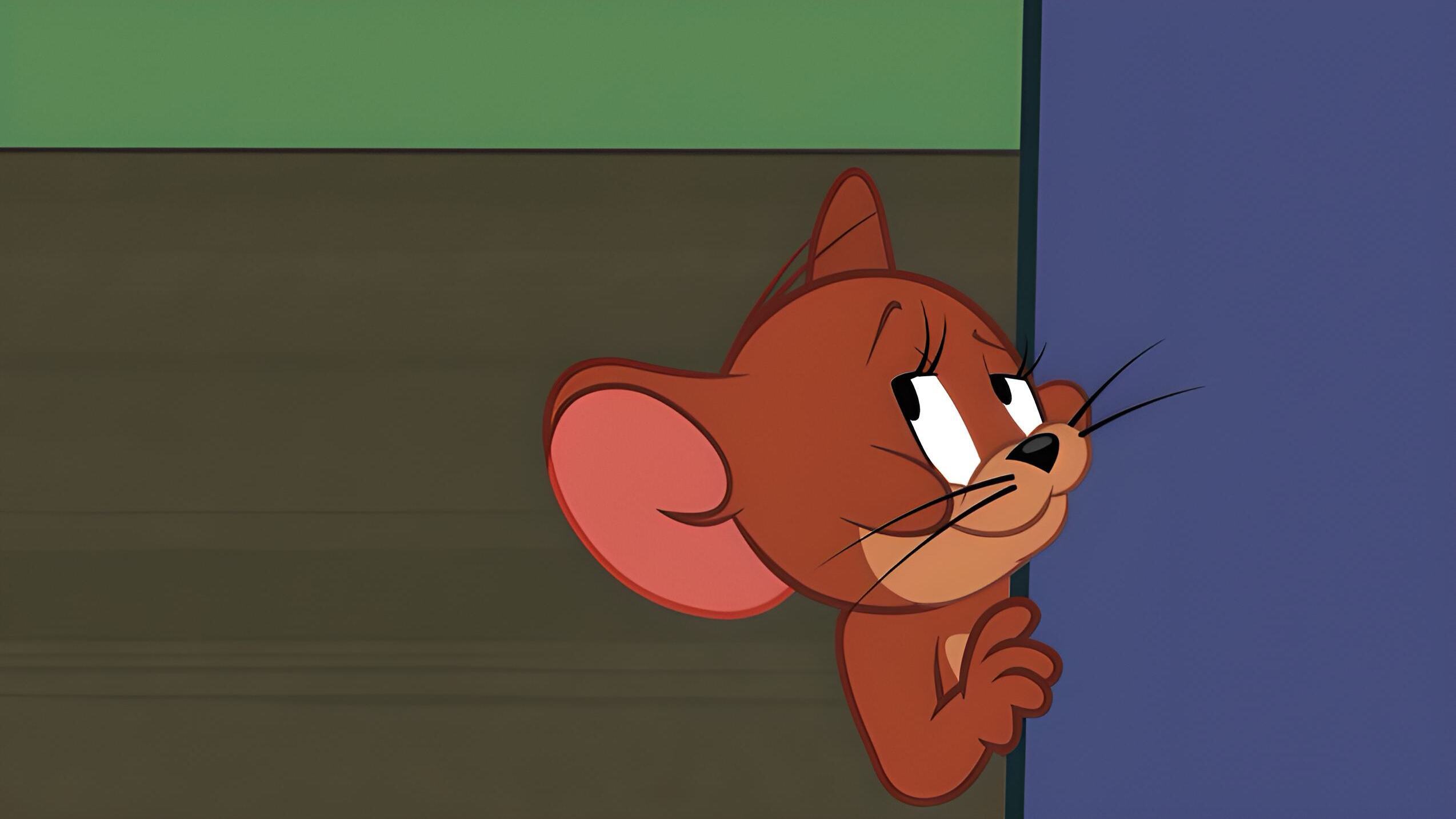 Die Tom und Jerry Show