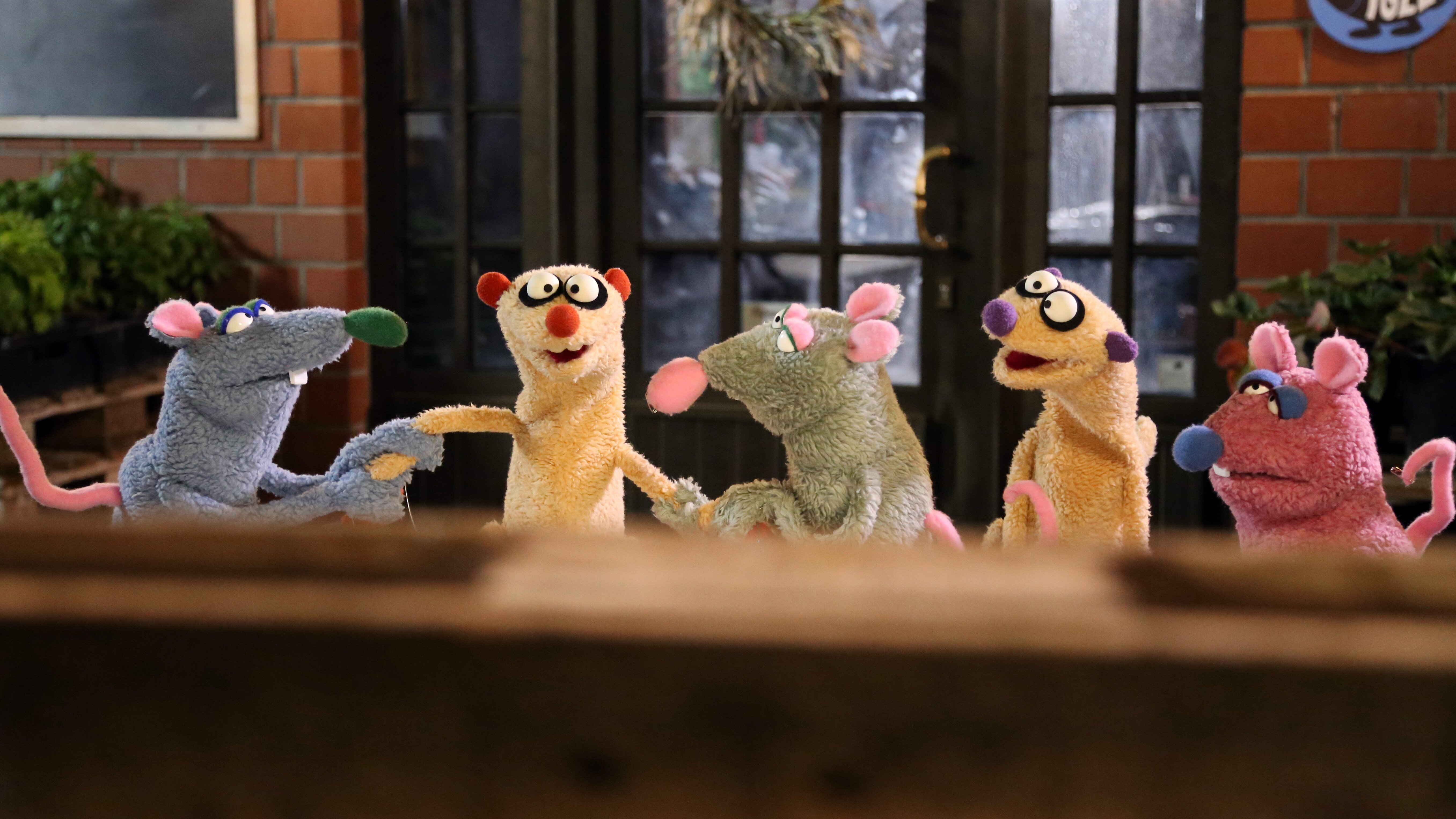 Ein Fall für die Erdmännchen