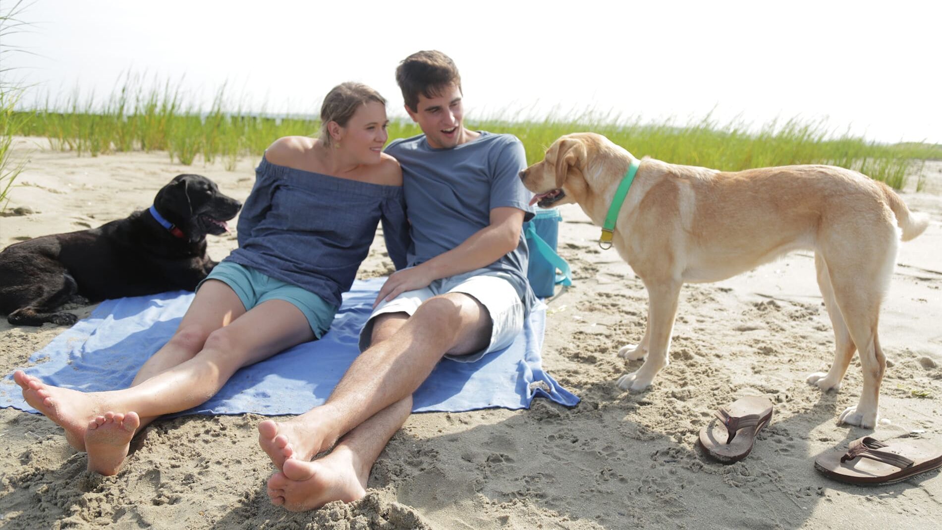 Beach House Hunters