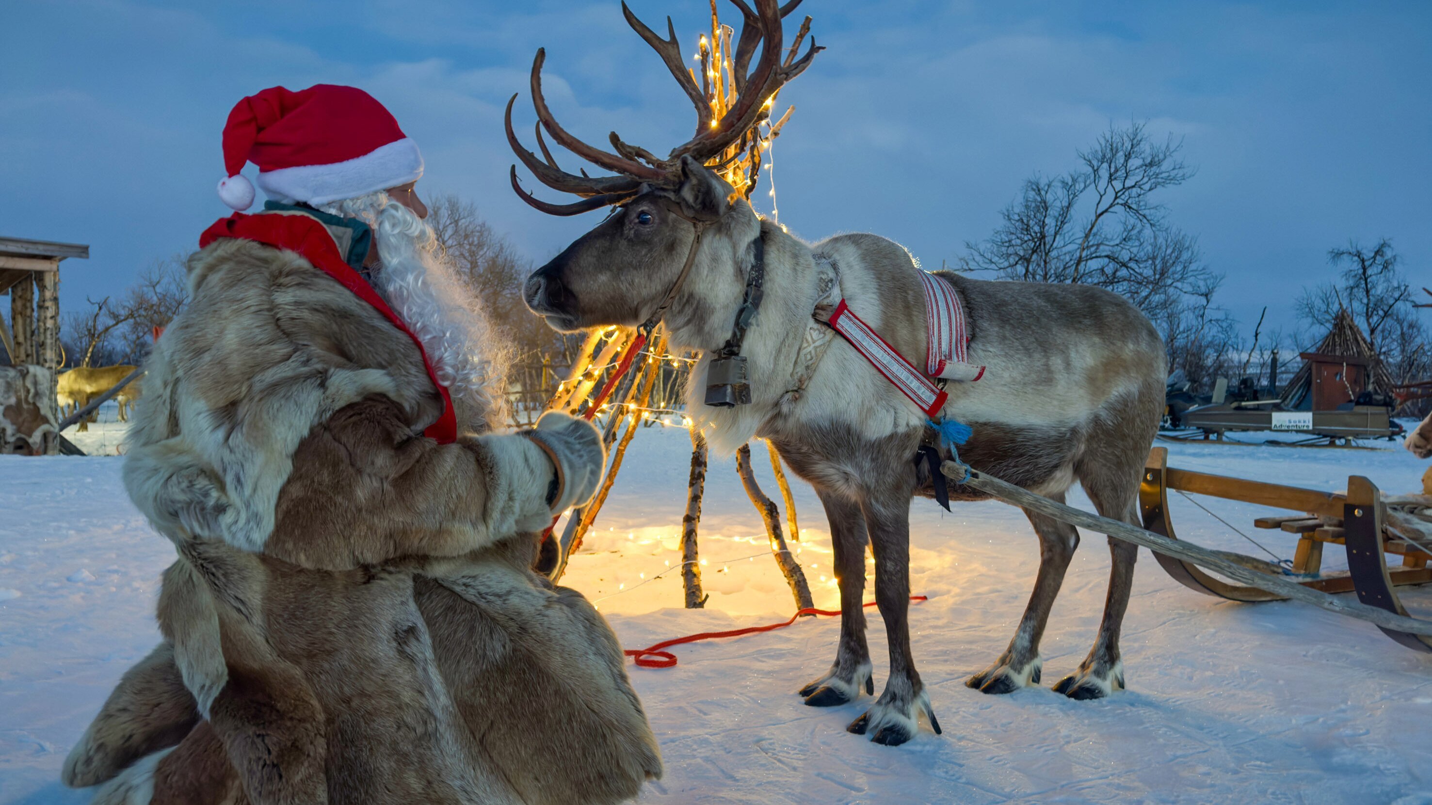 Tierische Weihnachten