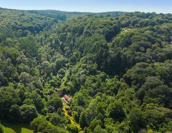 La vie secrète des jardins britanniques