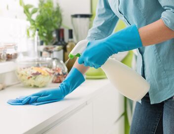 Cleaners les experts du ménage