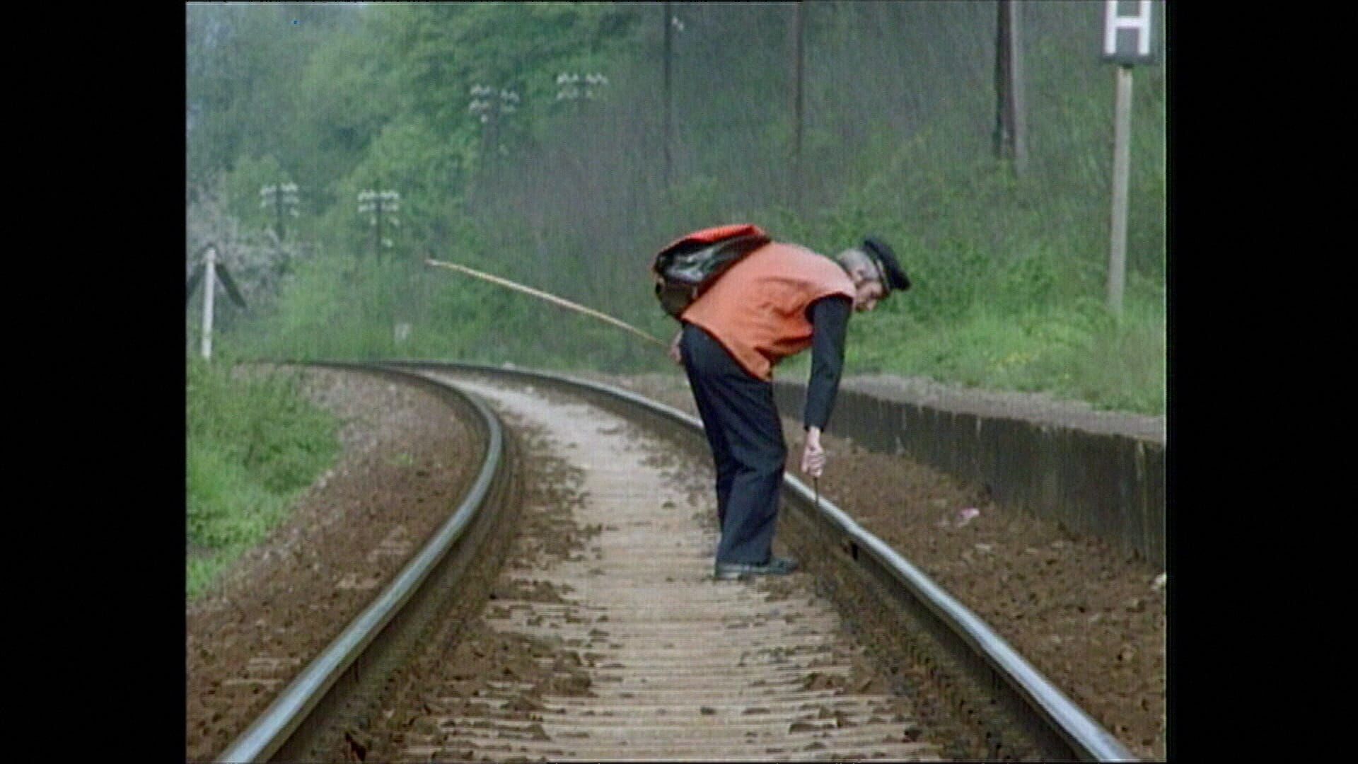 Entlang der Schiene ... – Ansichten eines Streckenläufers