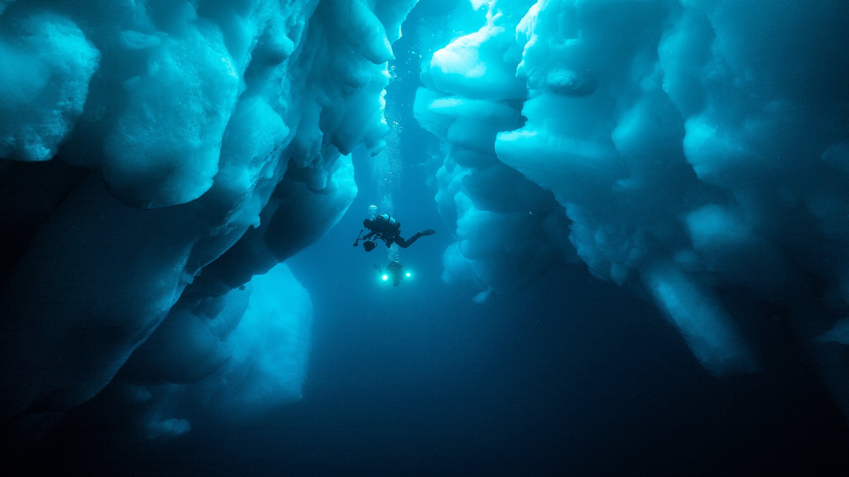 Geister der Arktis – Eishaie und Narwale