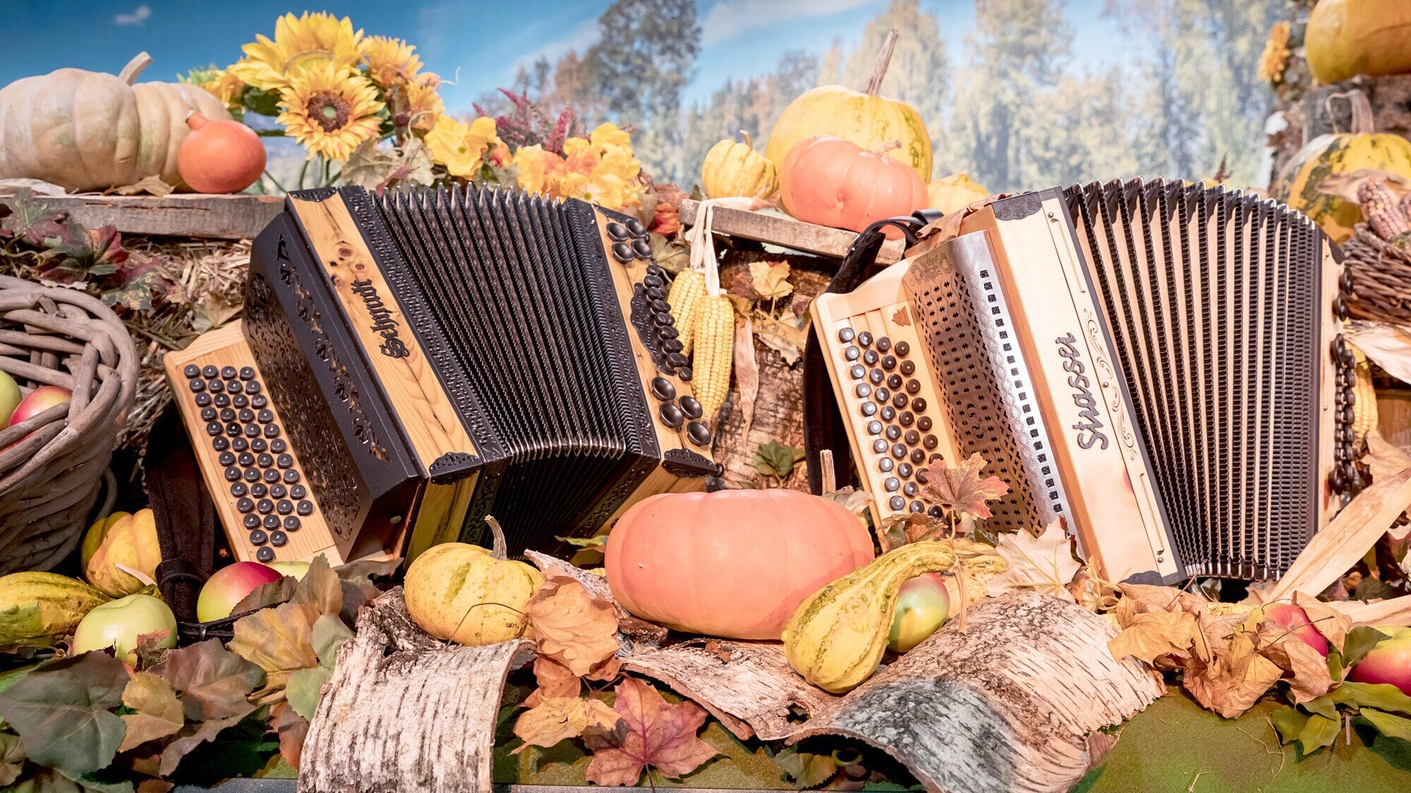 Steirischer Harmonikawettbewerb