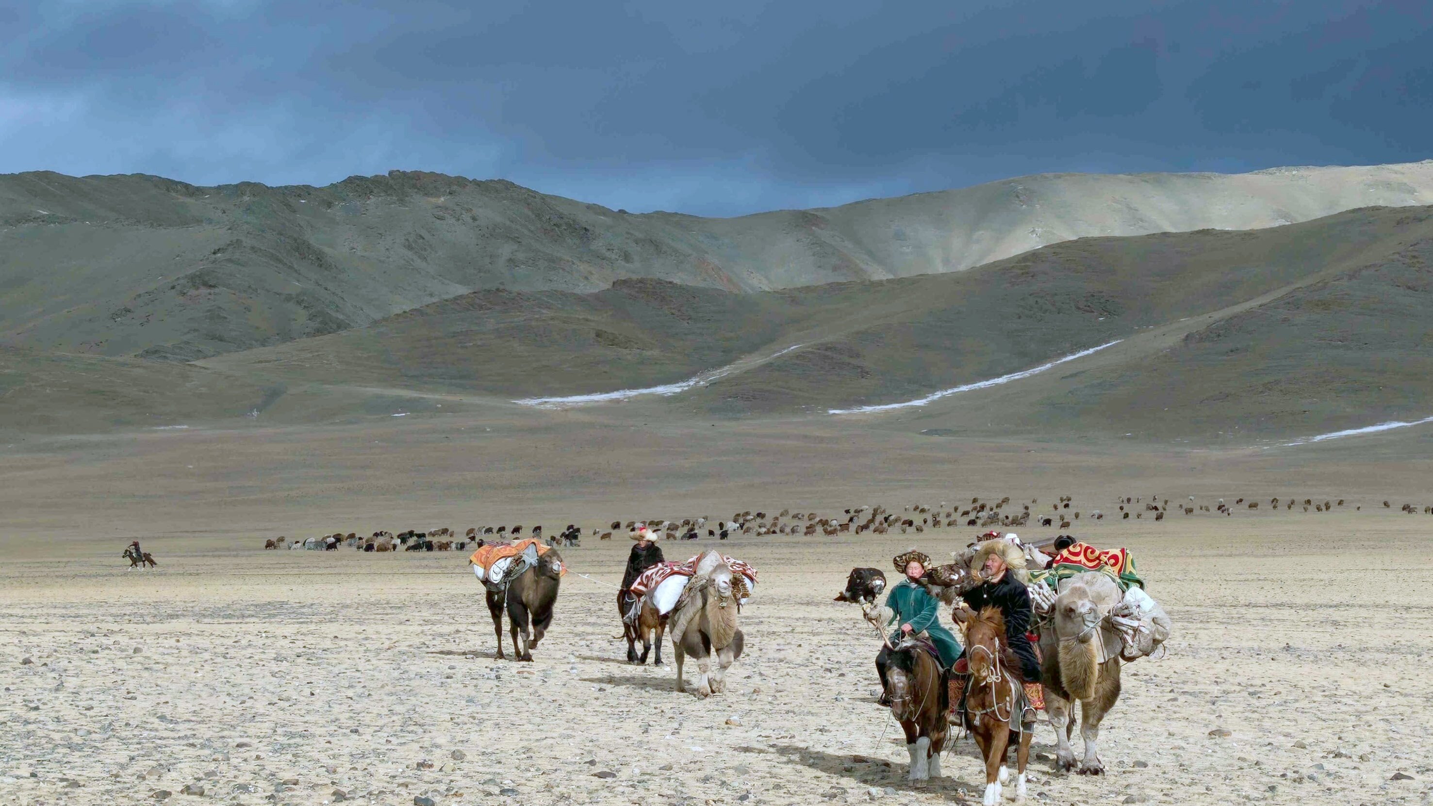 Mongolei, immer auf Achse