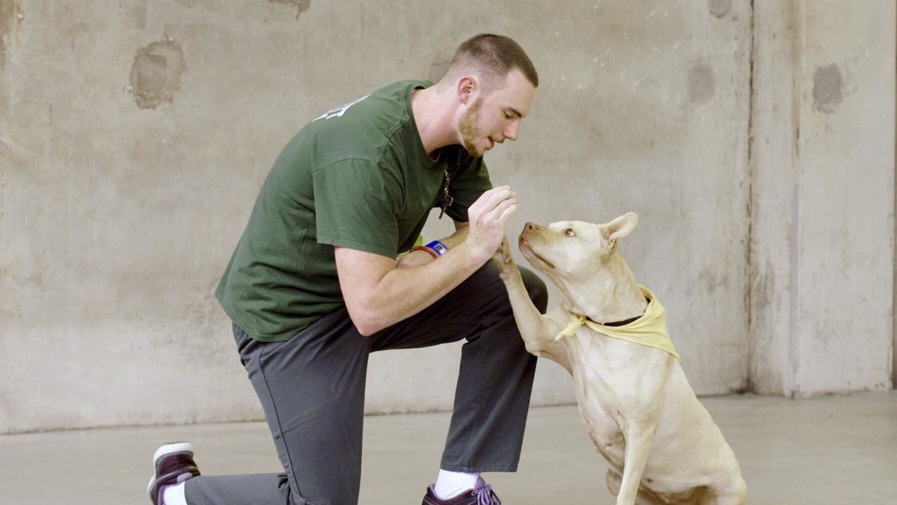 Hund und Mensch – Das Geheimnis einer Freundschaft