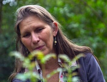 La Réunion, le renouveau des jardins créoles