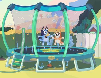 Bluey