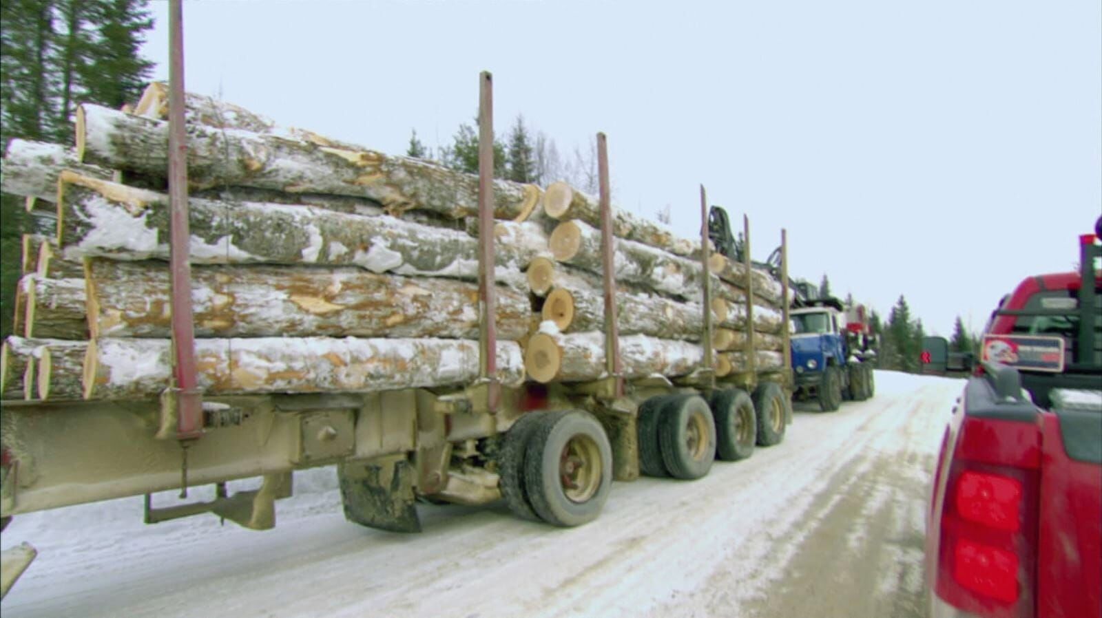 Holzfäller extrem
