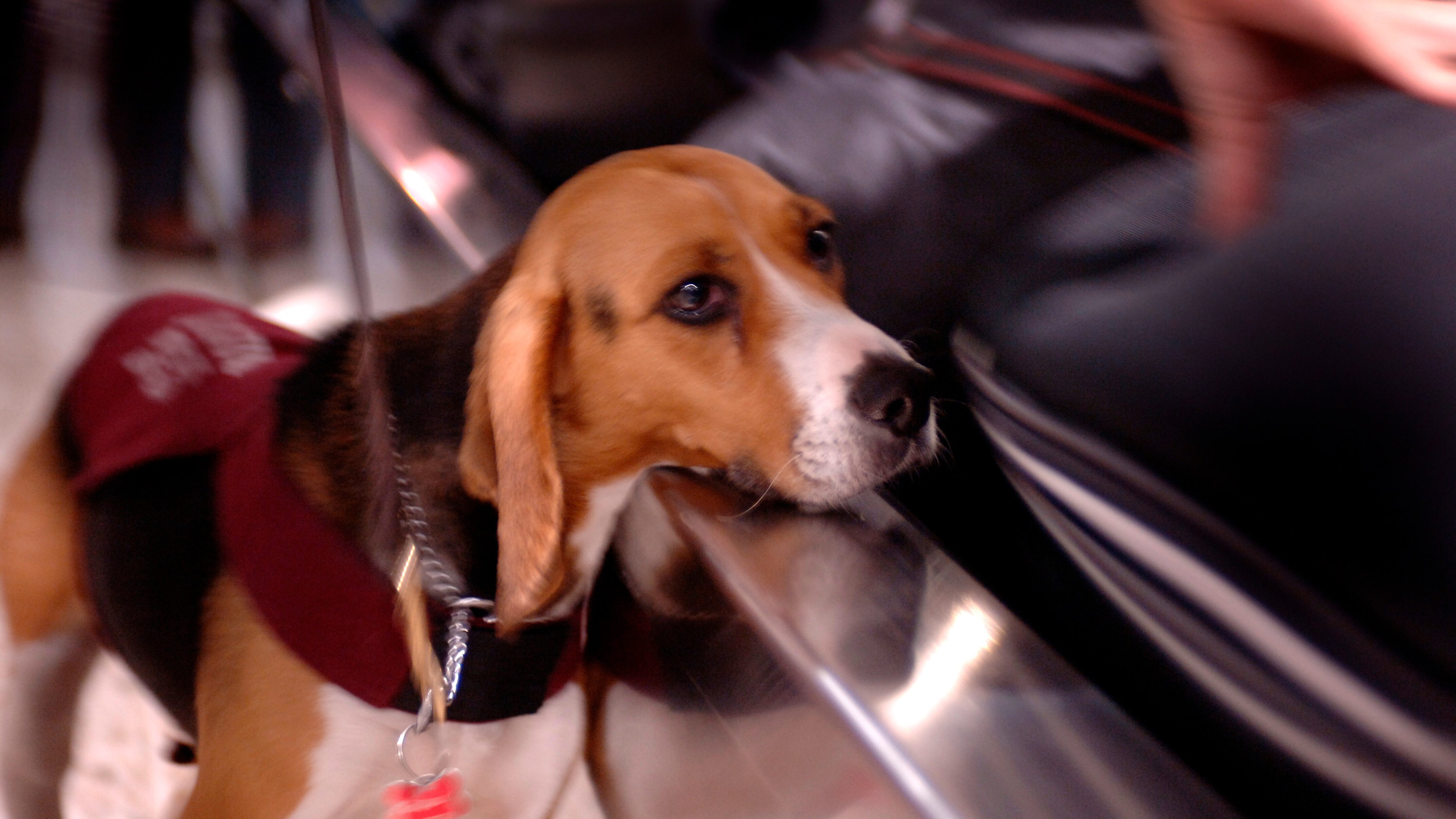 Border Patrol Australia