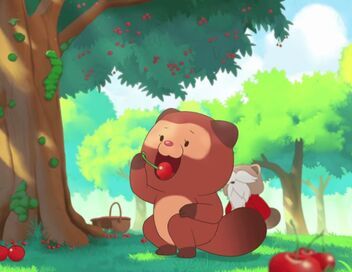 Taki Tanuki