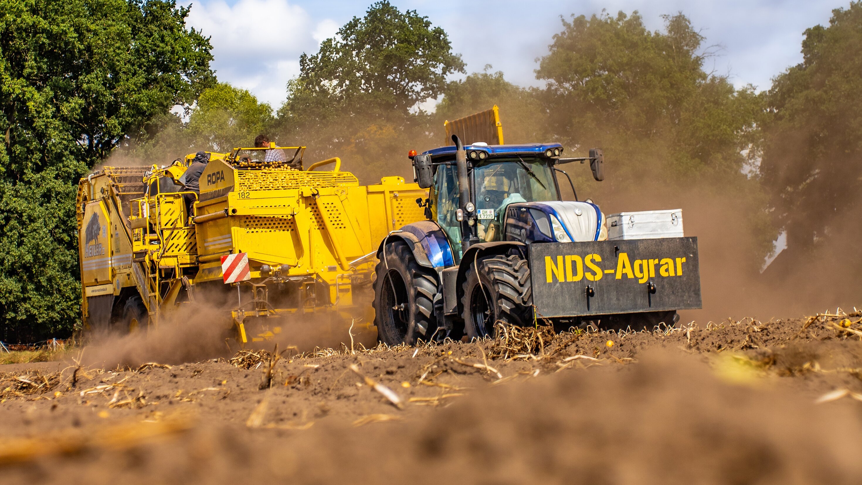 Kleine Knolle, große Maschinen