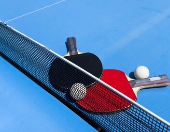 Tennis de table : WTT China Smash