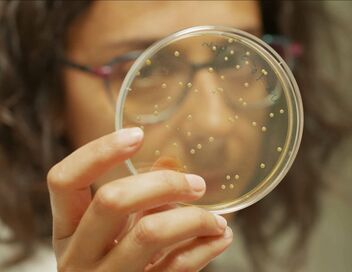 Ces microbes qui vous veulent du bien