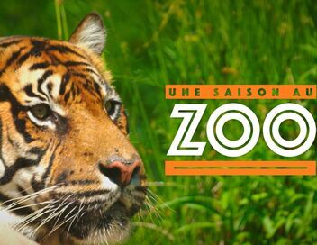 Une saison au zoo