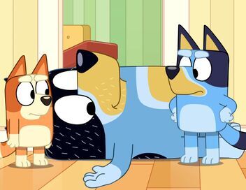 Bluey