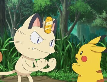 Pokémon : XY