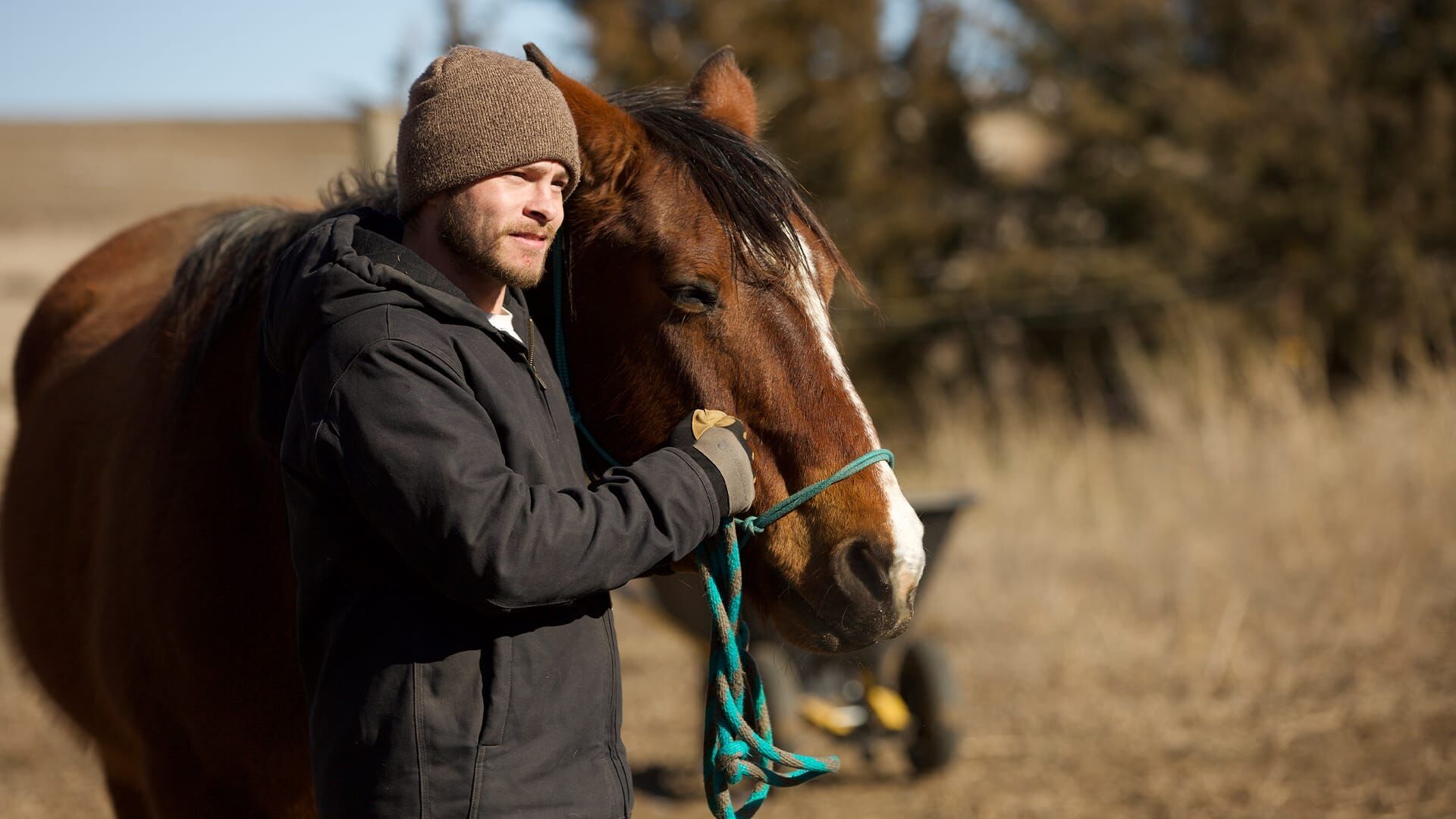 Home Rescue – Wohnen in der Wildnis