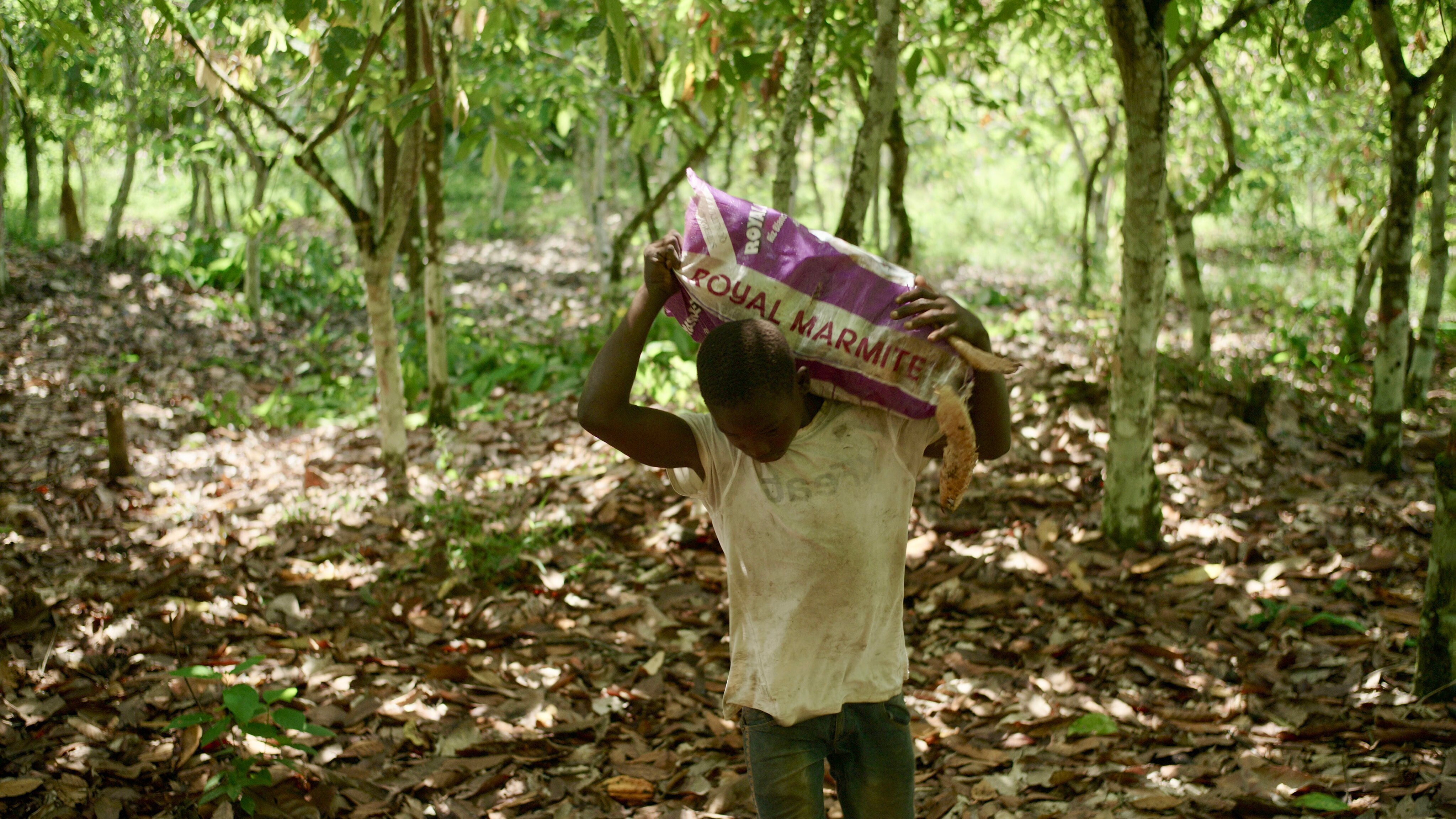 Das Märchen von der sauberen Schokolade