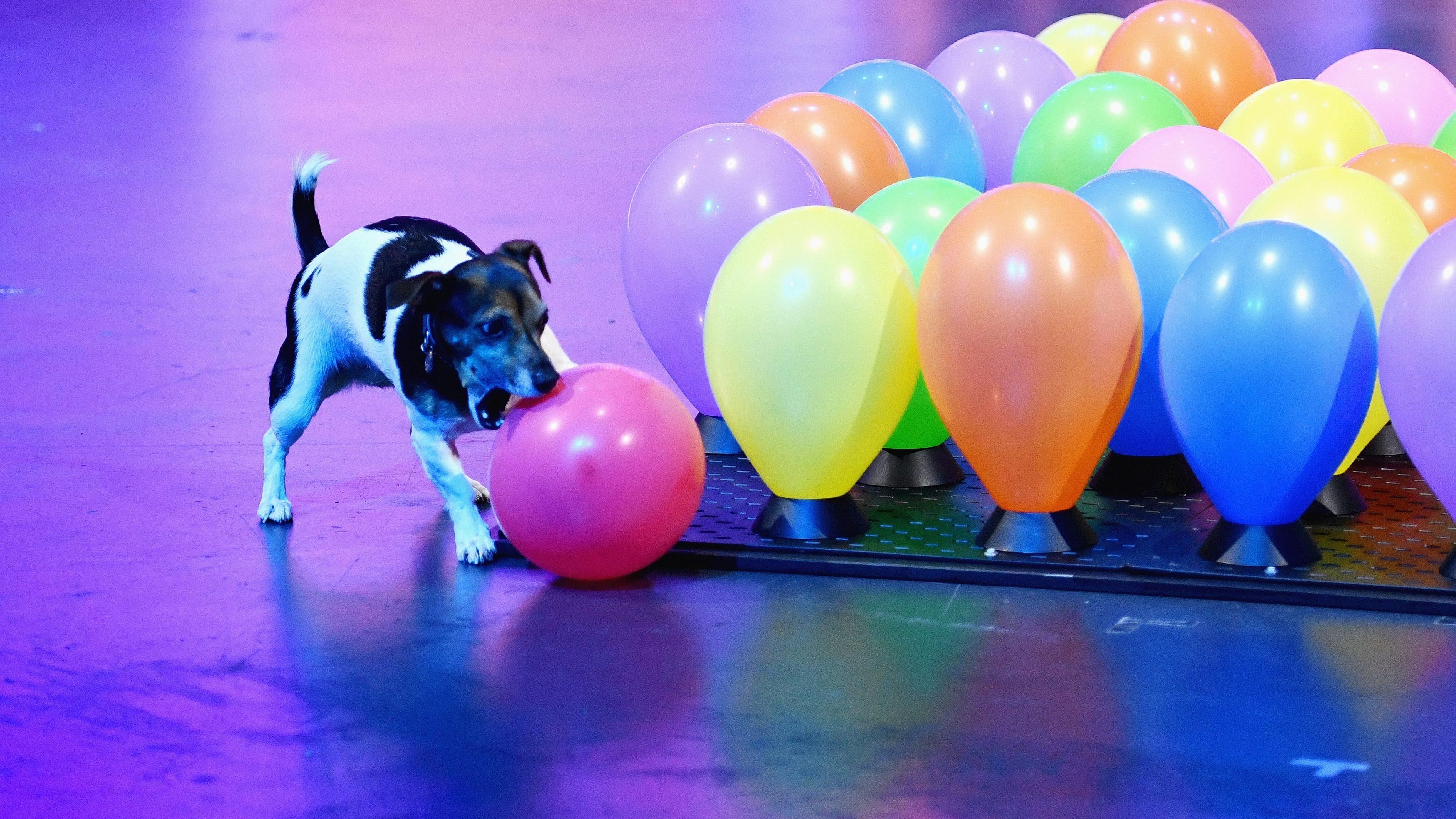Drei gegen Einen – Die Show der Champions
