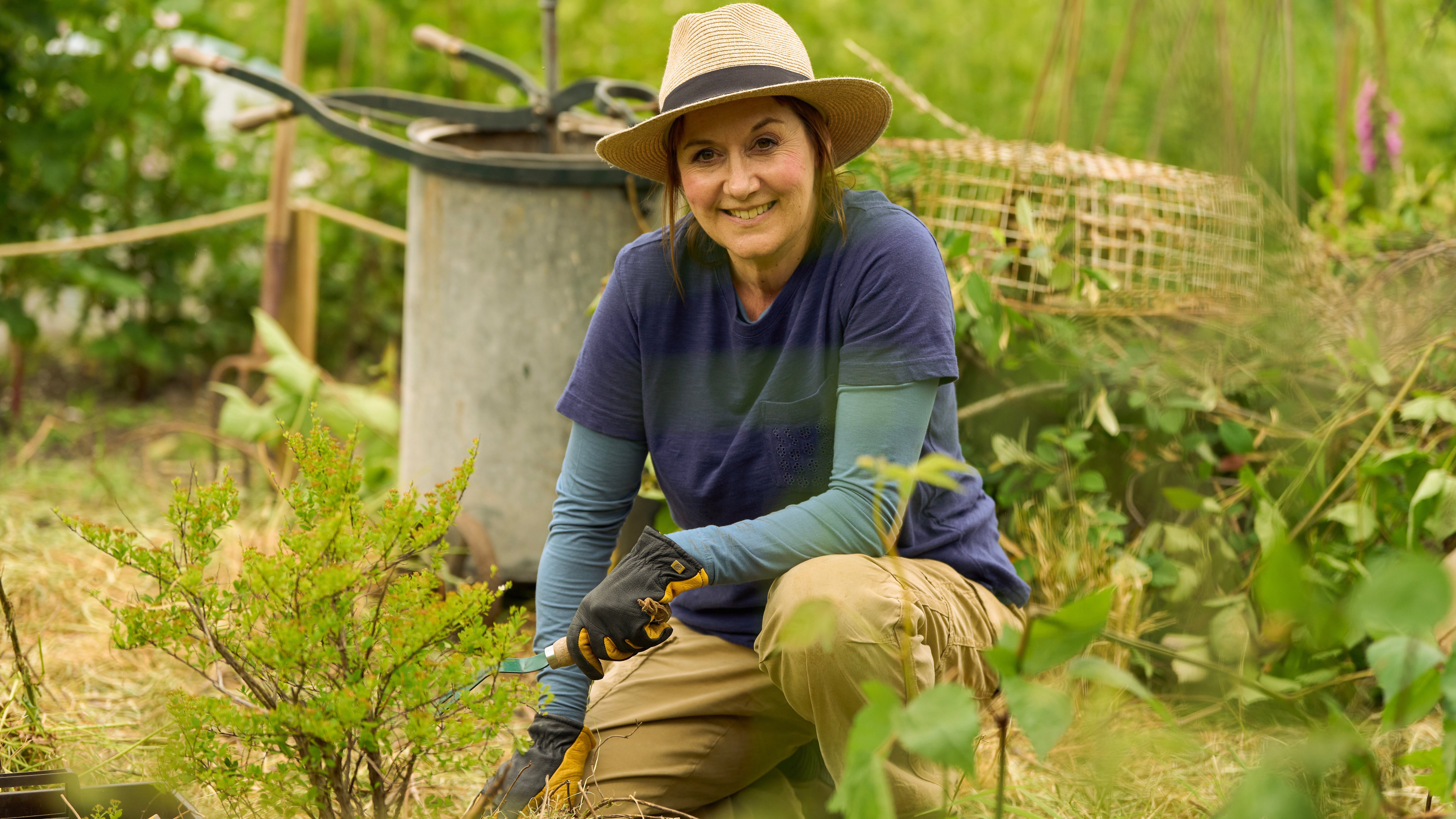 The Chelsea Detective