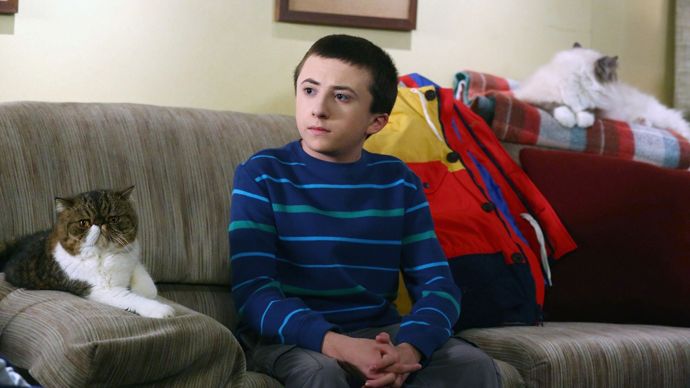 The Middle