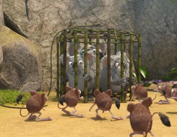 Les as de la jungle à la rescousse
