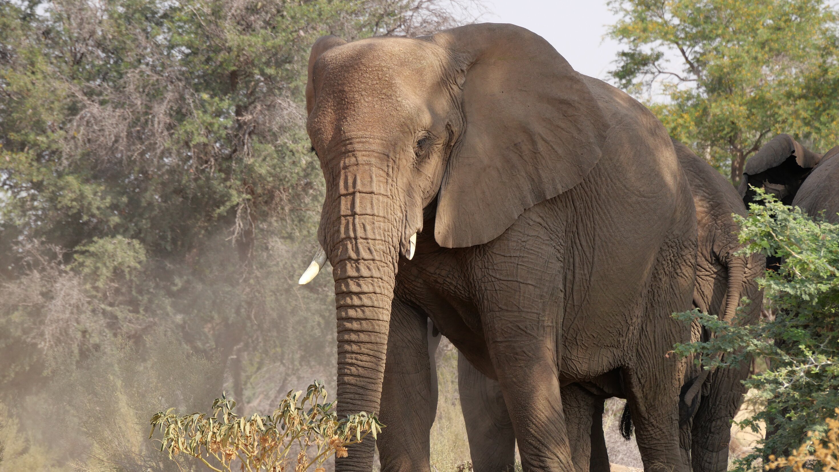 Namibia – Leben mit der Wüste