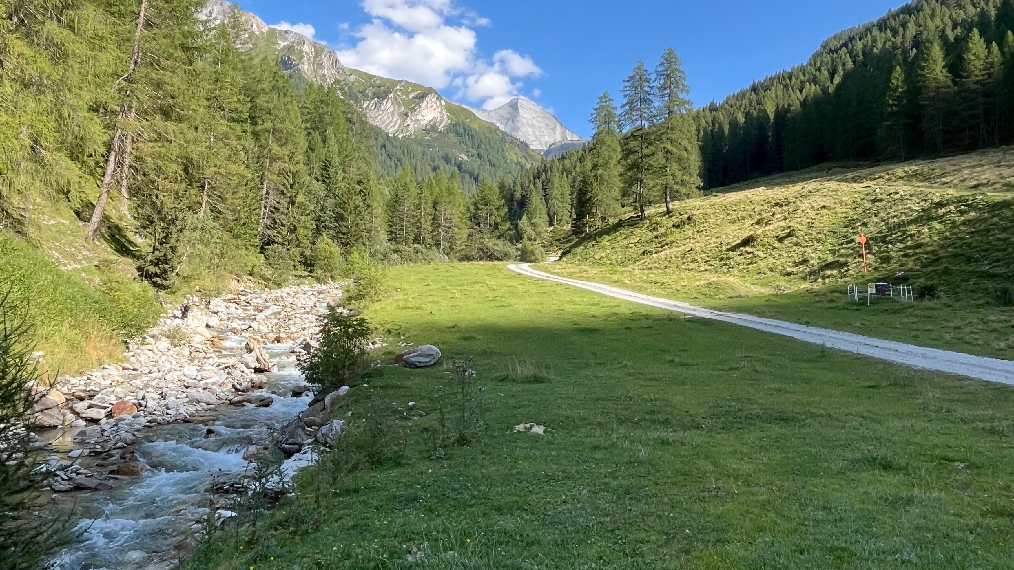 Zurück zur Natur