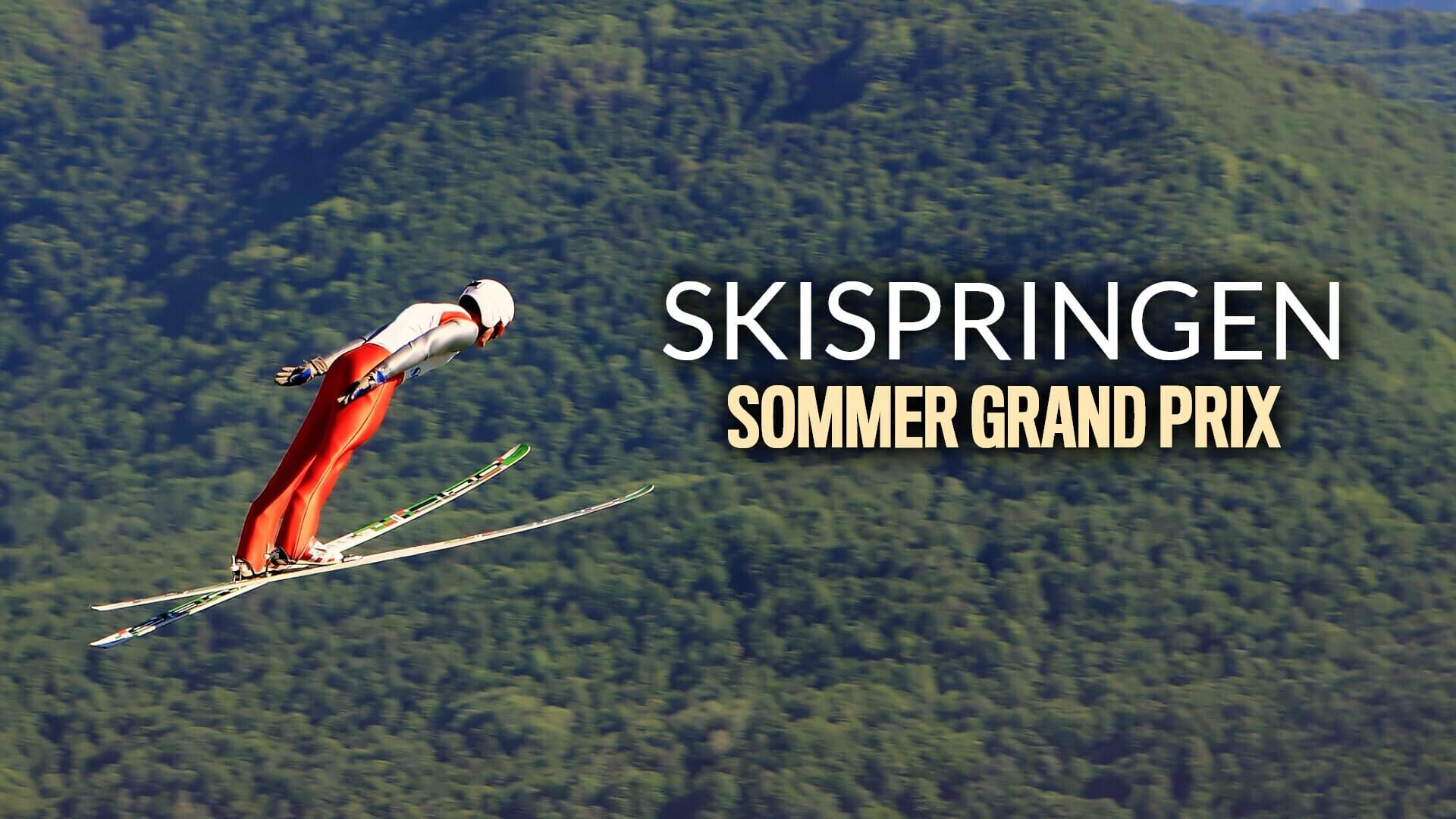 FIS Skispringen Sommer Grand Prix Herren Hinzenbach HS 90