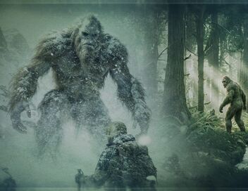 Yéti et bigfoot : mythe ou réalité ?