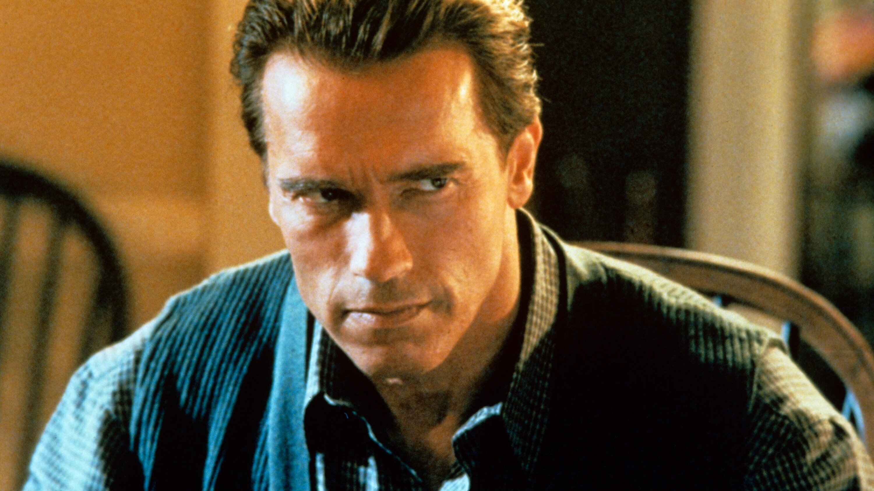 True Lies – Wahre Lügen