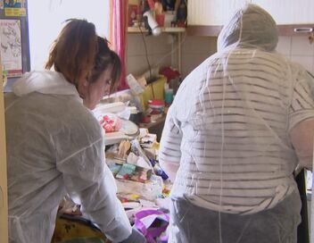 Cleaners les experts du ménage