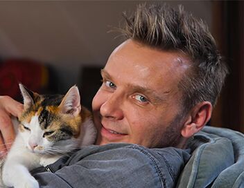 La vie secrète des chats