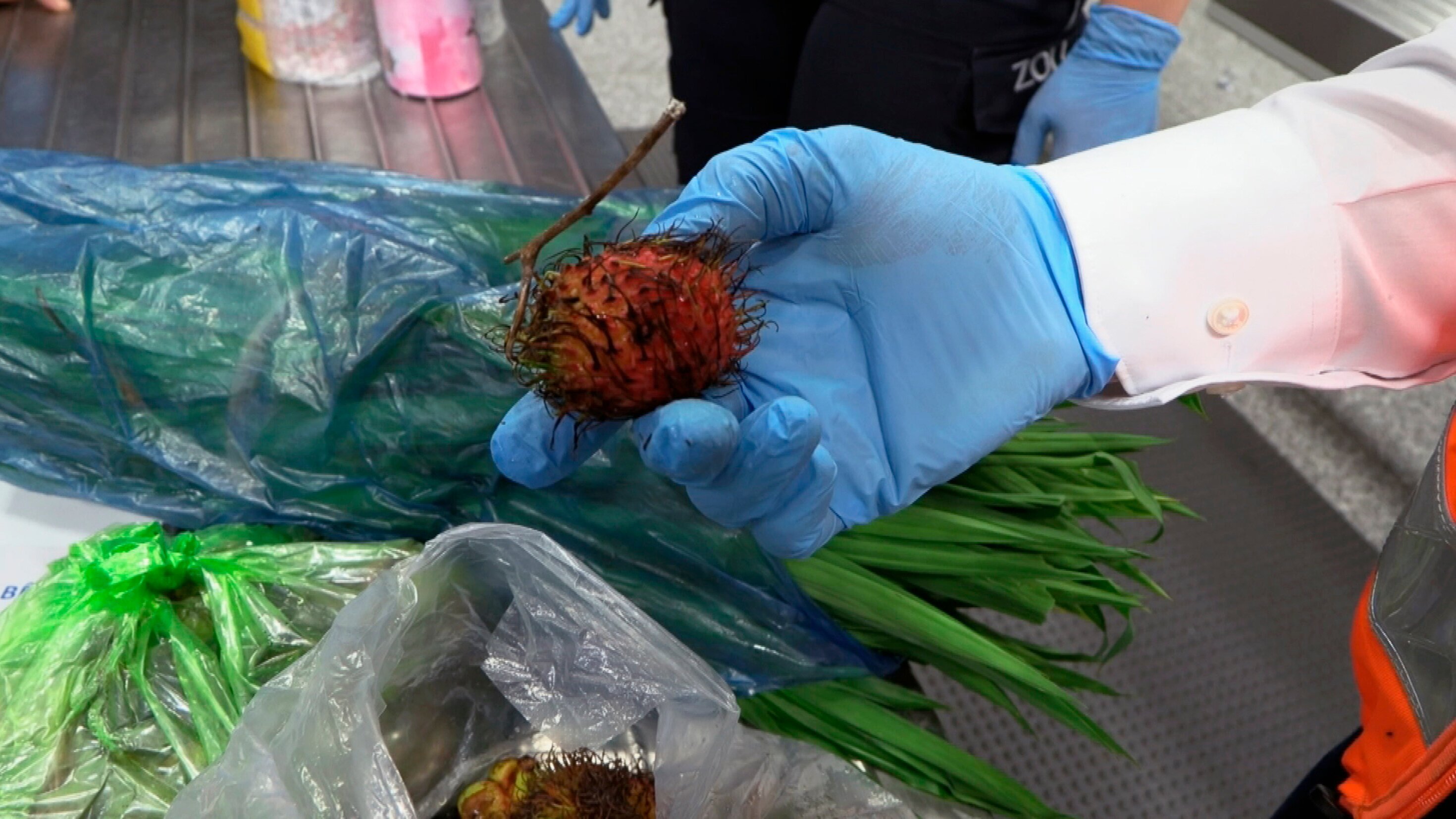 Mittendrin – Flughafen Frankfurt