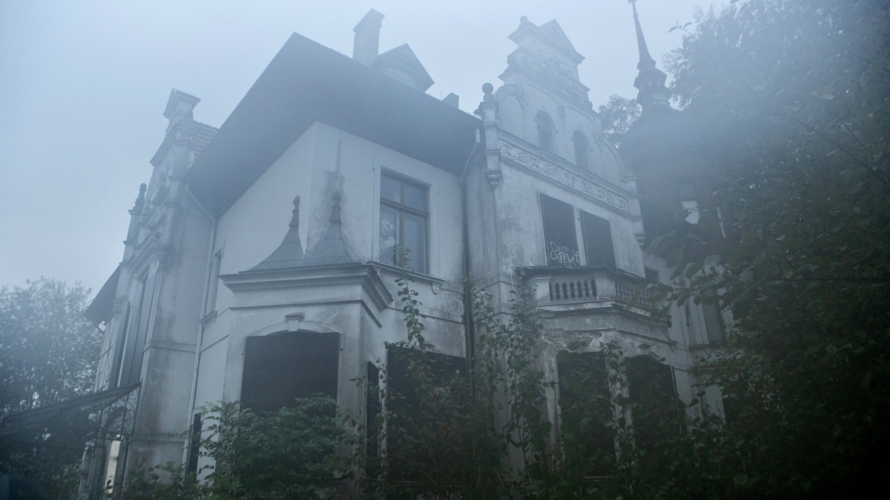 Wolfsland