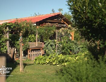 Les potagers de Julie