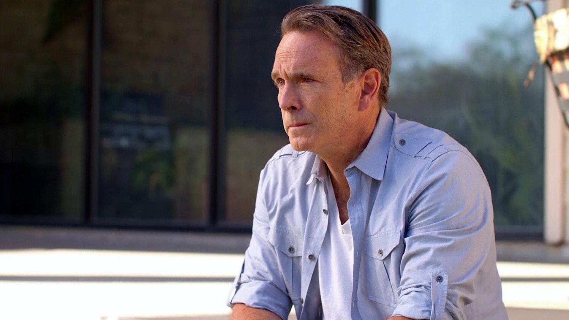 Vindication – Rechtfertigung