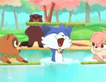 Taki Tanuki