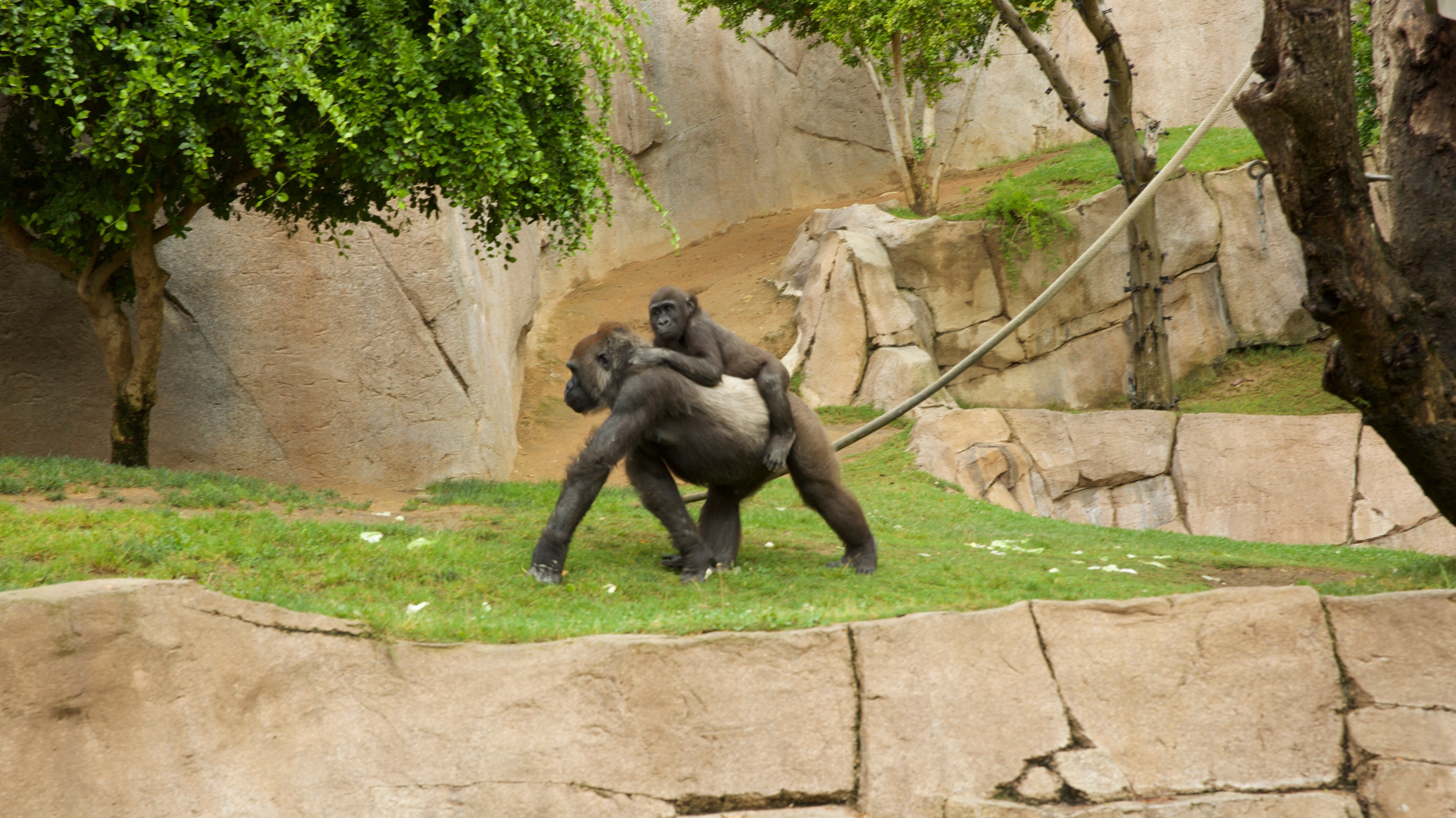 San Diego Zoo