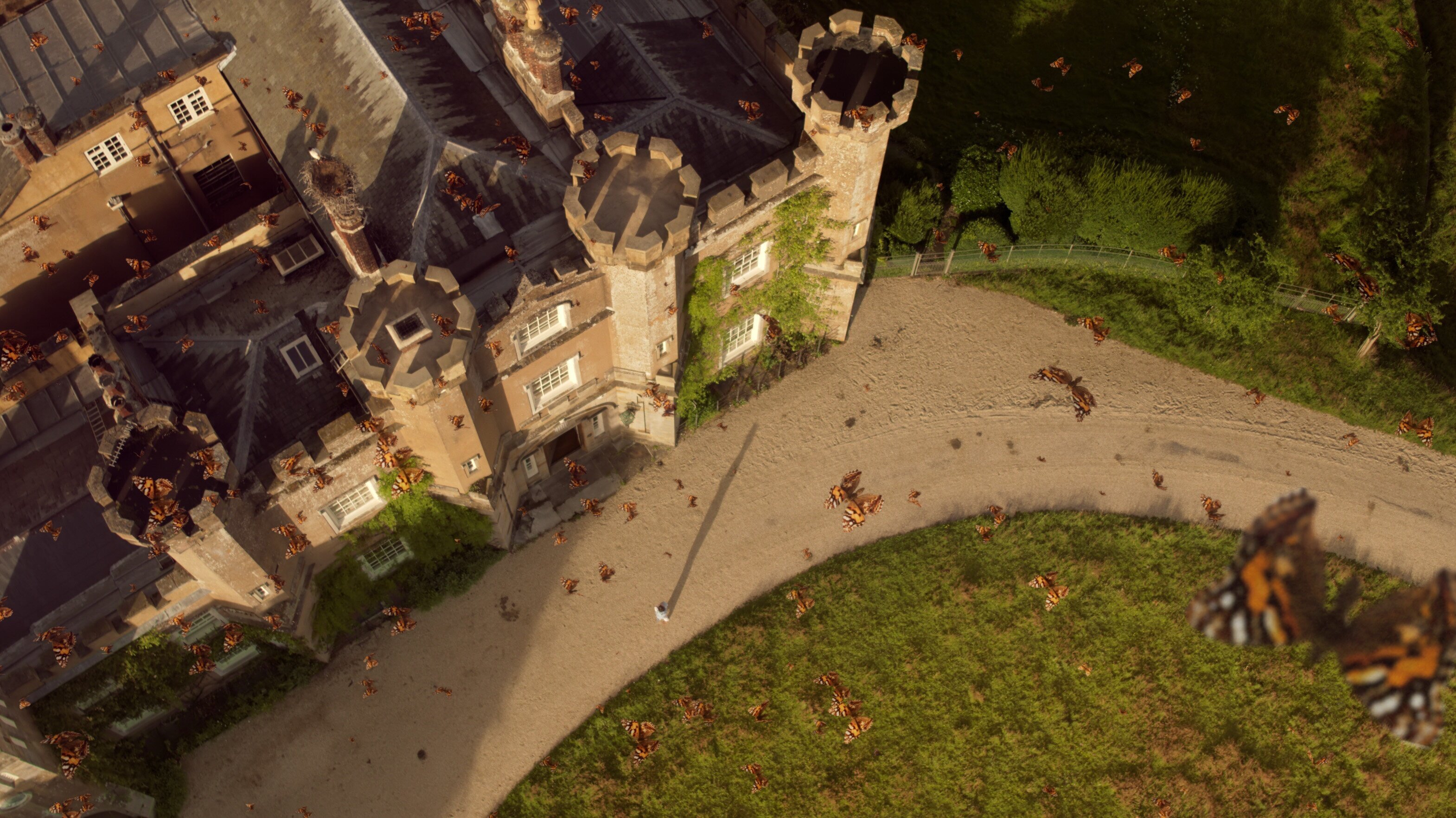 Comeback im Königreich – Wie aus Farmland Wildnis wird